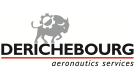 Logo Derichebourg Aeronautics